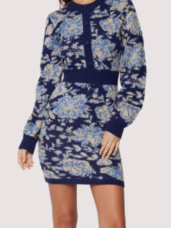 Lost + Wander Dresses & Skirts - Lost + Wander Rosetta Mini Dress